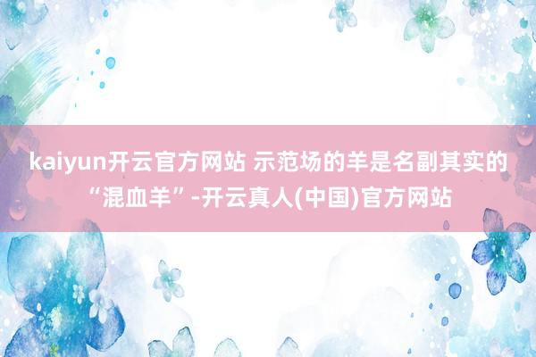 kaiyun开云官方网站 　　示范场的羊是名副其实的“混血羊”-开云真人(中国)官方网站