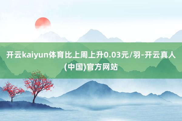 开云kaiyun体育比上周上升0.03元/羽-开云真人(中国)官方网站