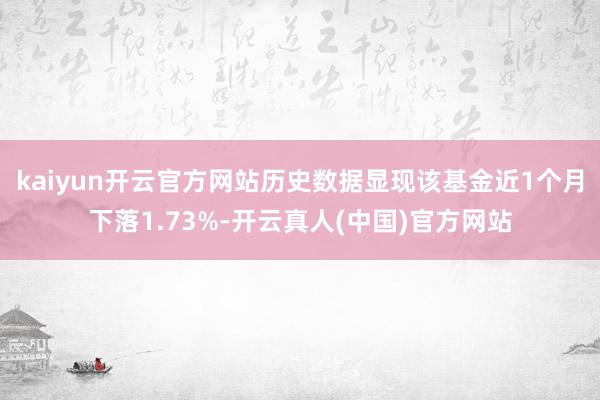 kaiyun开云官方网站历史数据显现该基金近1个月下落1.73%-开云真人(中国)官方网站