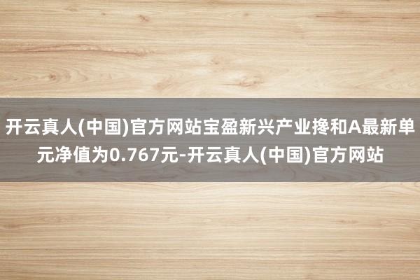 开云真人(中国)官方网站宝盈新兴产业搀和A最新单元净值为0.767元-开云真人(中国)官方网站