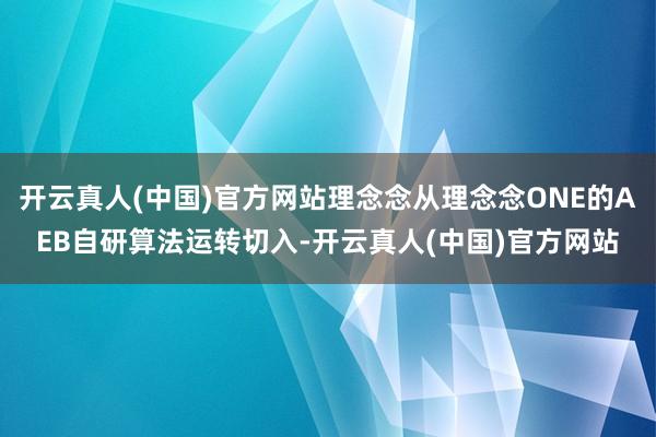 开云真人(中国)官方网站理念念从理念念ONE的AEB自研算法运转切入-开云真人(中国)官方网站